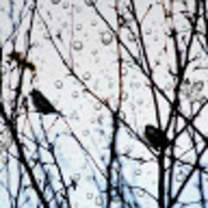 Meet your Posher, Lucy